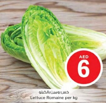 Nesto Lettuce Romaine per kg offer