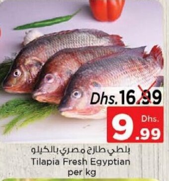 Nesto Tilapia Fresh Egyptian per kg offer