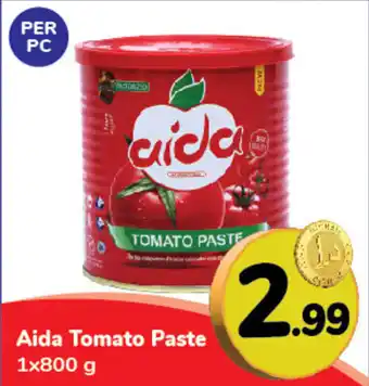 Day To Day Aida Tomato Paste 1x800 g offer
