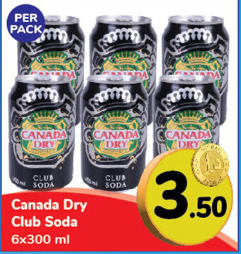 Day To Day Canada Dry Club Soda 6x300 ml offer