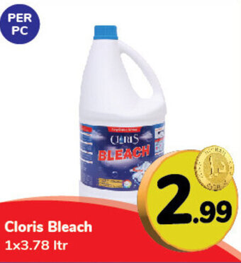Day To Day Cloris Bleach 1x3.78 ltr offer