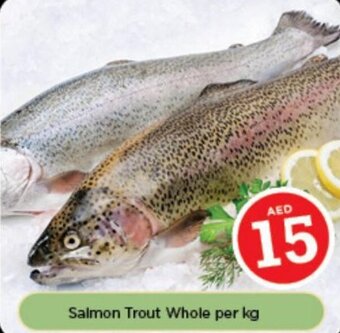 Nesto Salmon Trout Whole per kg offer