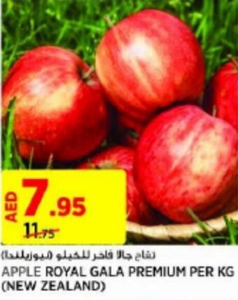 Aswaaq APPLE ROYAL GALA PREMIUM PER KG (NEW ZEALAND) offer
