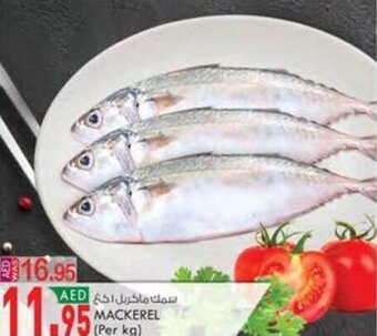 KM Trading MACKEREL (Per kg) offer