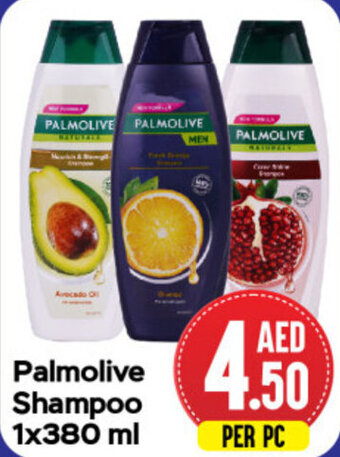 Day To Day Palmolive Shampoo 1x380 ml offer