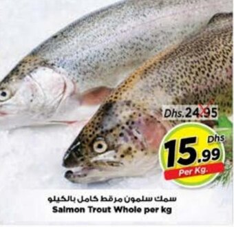 Nesto Salmon Trout Whole per kg offer