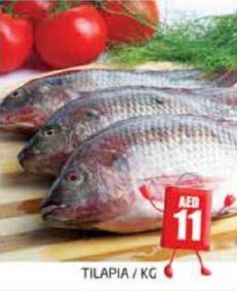 Pasons TILAPIA/KG offer