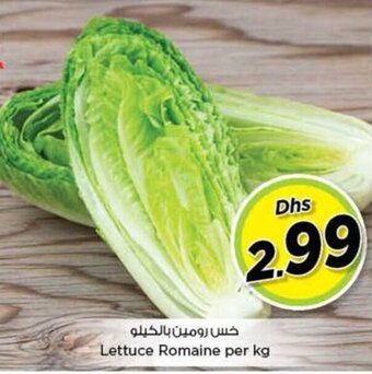 Nesto Lettuce Romaine per kg offer