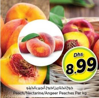Nesto Peach/Nectarine/Angeer Peaches Per kg offer
