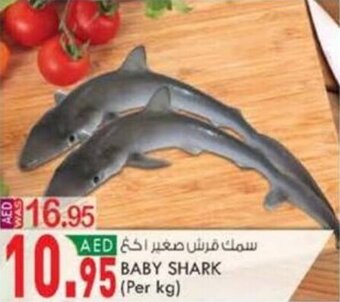 KM Trading BABY SHARK |(Per kg) offer