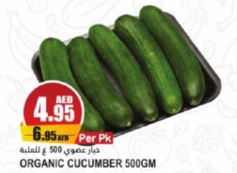 Almaya supermarket ORGANIC CUCUMBER 500GM offer