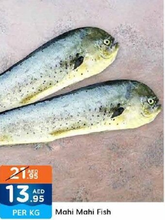 West Zone Supermarket Mahi Mahi Fish offer