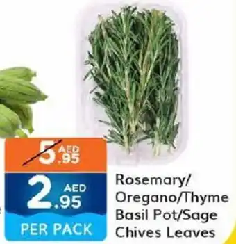 West Zone Supermarket Rosemary/ Oregano/Thyme Basil Pot/Sage Chives Leaves offer