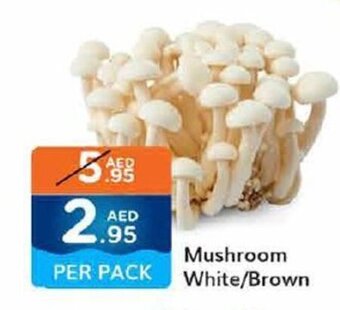 West Zone Supermarket Mushroom White/Brown offer