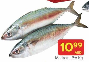City Retail Supermarket Mackerel Per Kg offer