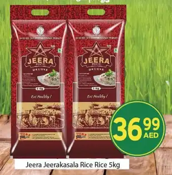 City Retail Supermarket Jeera Jeerakasala Rice Rice 5kg offer