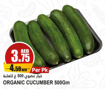 Almaya supermarket ORGANIC CUCUMBER 500Gm offer