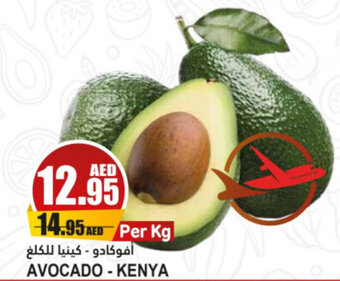 Almaya supermarket AVOCADO - KENYA offer