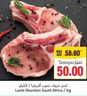Union Coop Lamb Shortloin South Africa / Kg offer