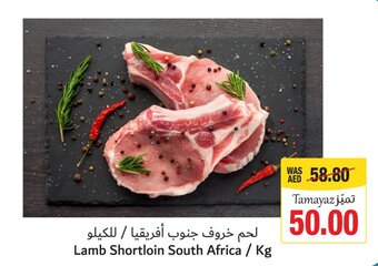 Union Coop Lamb Shortloin South Africa / Kg offer