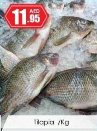 Amber Tilapia /kg offer