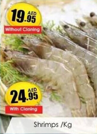 Amber Shrimps /Kg offer