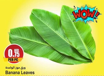 Almaya supermarket Banana Leaves offer