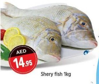 Shaklan Shery fish 1kg offer