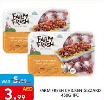 United Hypermarket FARM FRESH CHICKEN GIZZARD 450G 1PC offer