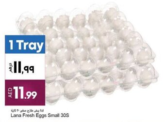 Rawabi Market Lana Fresh Eggs Small 30S offer