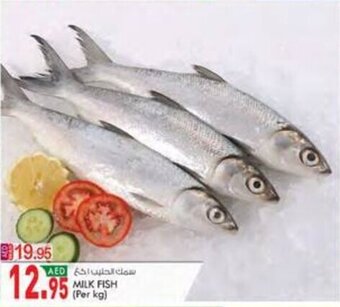 KM Trading MILK FISH (Per kg) offer