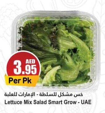 Almaya supermarket Lettuce Mix Salad Smart Grow offer