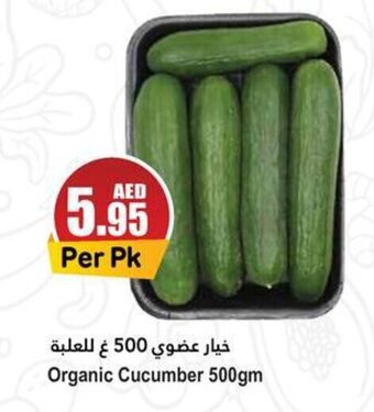 Almaya supermarket Organic Cucumber 500gm offer