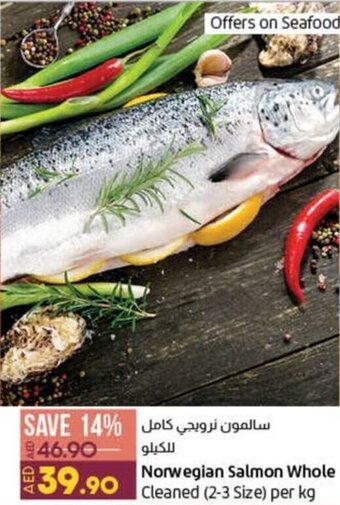 Lulu Hypermarket Norwegian Salmon Whole offer