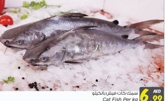 Nesto Cat Fish offer