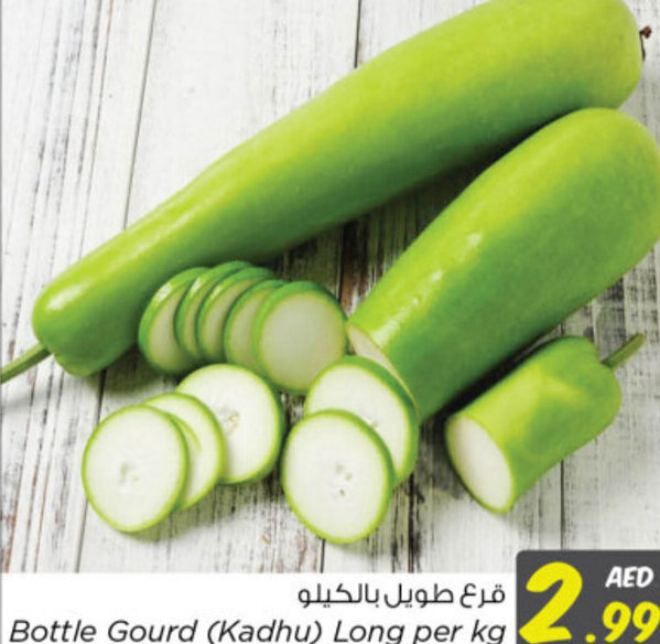 Nesto Bottle Gourd (Kadhu) Long offer