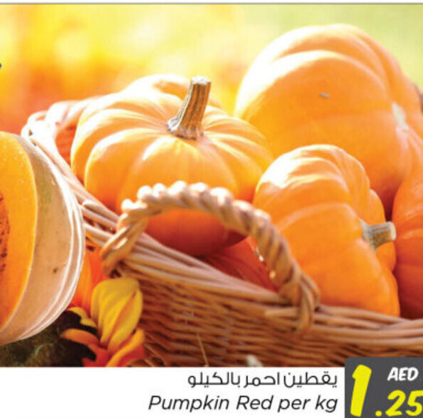 Nesto Pumpkin Red offer