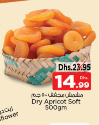 Nesto Dry Apricot Soft 500gm offer