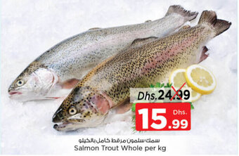Nesto Salmon Trout Whole offer
