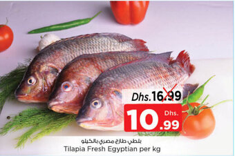Nesto Tilapia Fresh offer