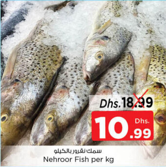 Nesto Nehroor Fish offer