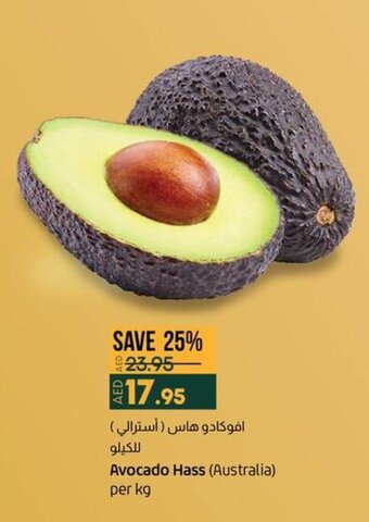 Lulu Hypermarket Avocado Hass offer