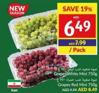 Viva Grapes White Mini/ Grapes Red Mini 750g offer