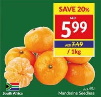 Viva Mandarine Seedless offer
