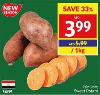 Viva Sweet Potato offer