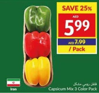 Viva Capsicum Mix 3 Color offer