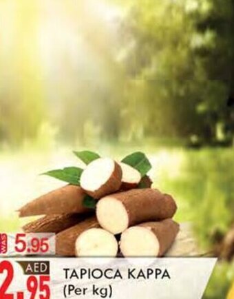 KM Trading TAPIOCA KAPPA offer