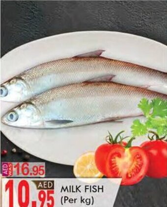 KM Trading MILK FISH offer