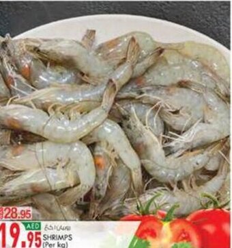 KM Trading SHRIMPS offer