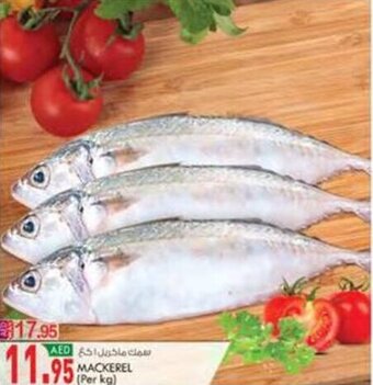 KM Trading MACKEREL offer